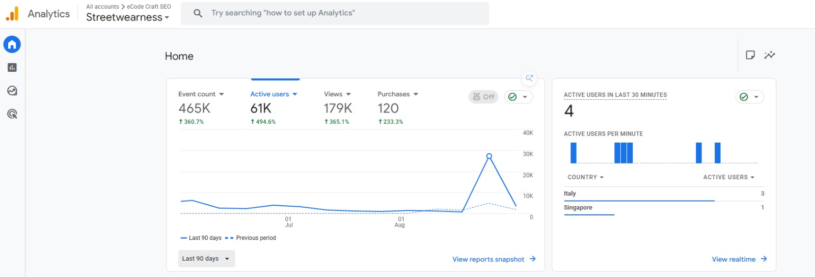 Streetwearness Google Analytics home overview